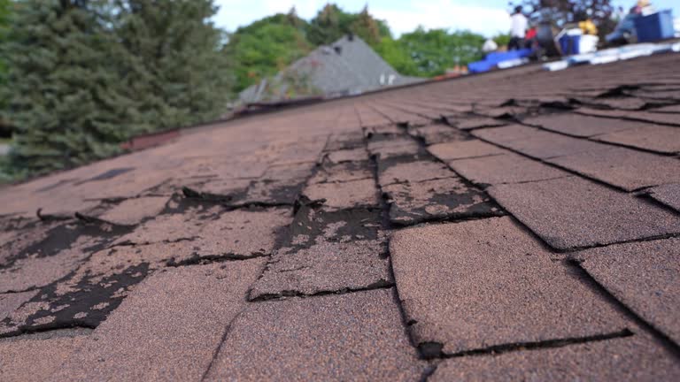 Roof Insulation in Mokuleia, HI